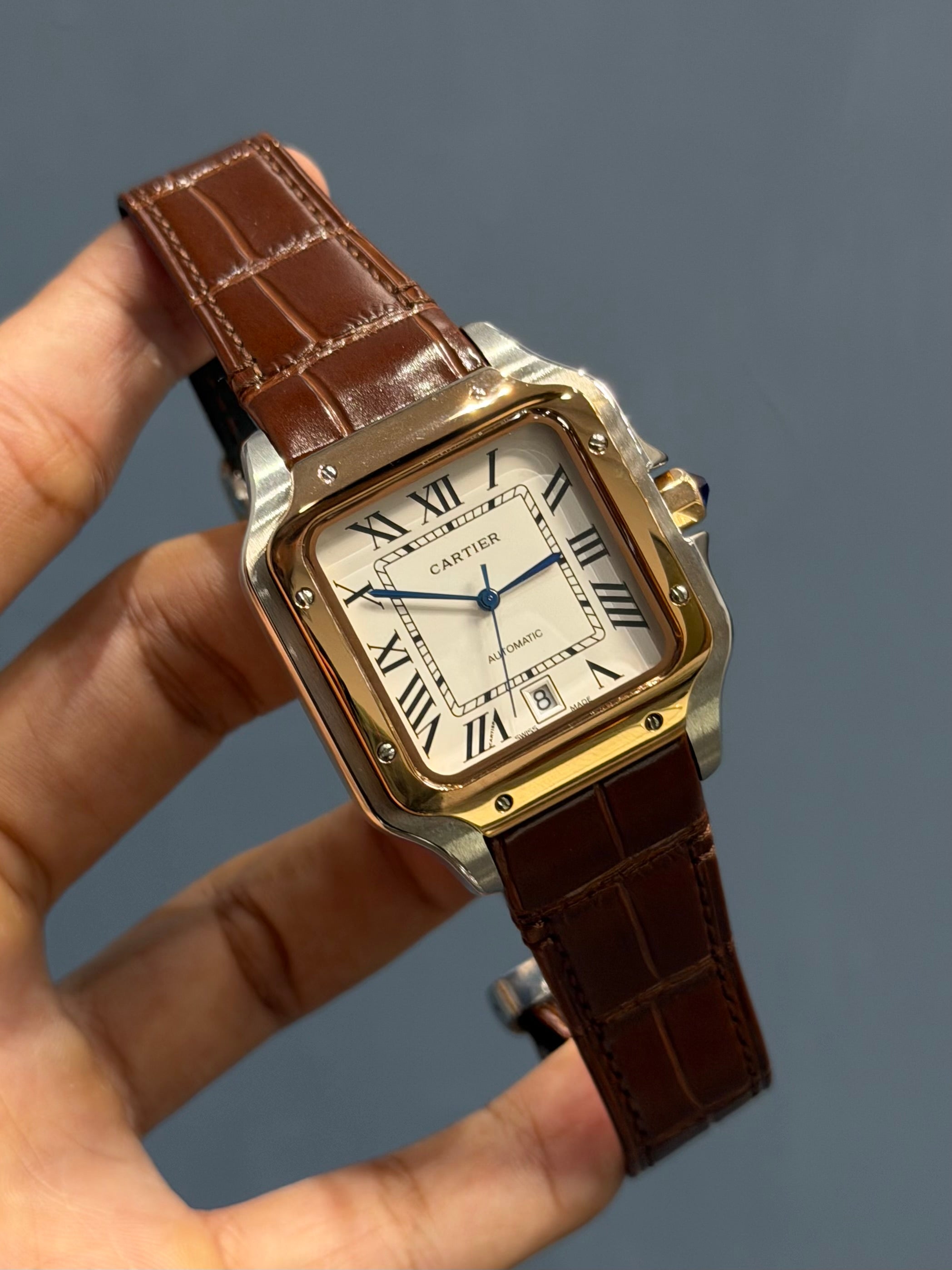 NEW COLLECTION ROSE TWOTONE CASE WITH WHITE DIAL & BROWN LEATHER STRAP